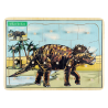 Układanka triceratops W-52